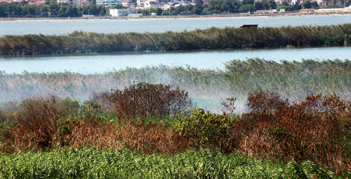 Nel-dettaglio-i-fumi-che-fuoriescono-dal-terreno molentargius